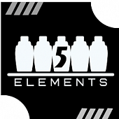 Shkola barmenov 5 Elements
